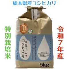 栃木県産コシヒカリ【特別栽培米】白米5kgのサムネイル