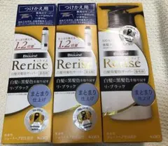 リライズ 白髪用髪色サーバー まとまり仕上げ 本体１箱・詰替２箱のサムネイル