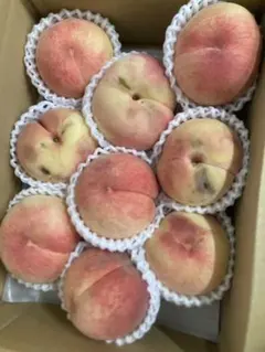 50.お買得福島産 朝採り完熟甘い桃 箱込み3kg訳あり家庭用 玉数