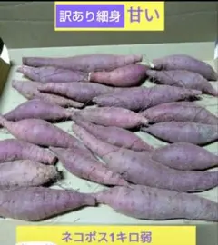 紅はるか、サツマイモ