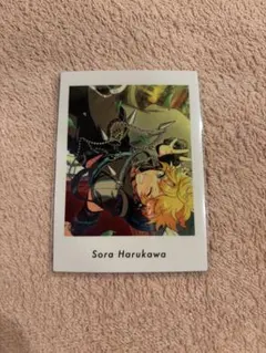 春川宙 逆先夏目