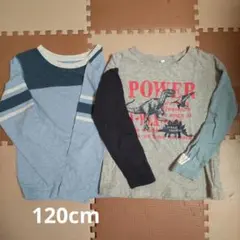 キッズ 子供 長袖カットソー 120cm 長T