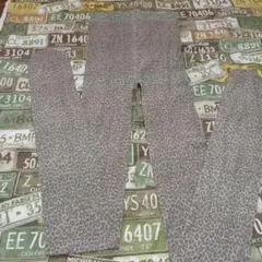 人気のヒョウ柄☆プリント☆タイツ♪（Ｍ～Ｌ）