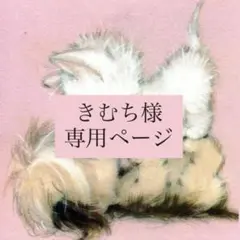 きむち様 専用ページ