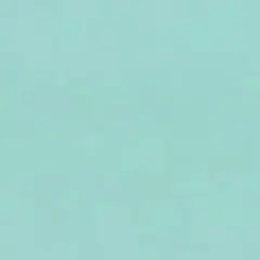 やきとり様専用ページ