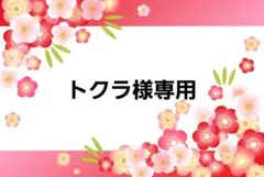 トクラ様専用ページ　フェイクスイーツ　樹脂粘土　スイーツデコ