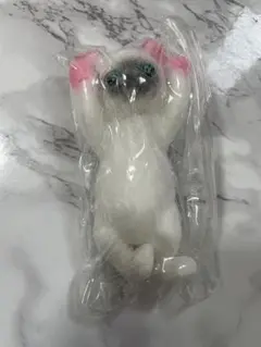 リアル　キャット　スクイーズ