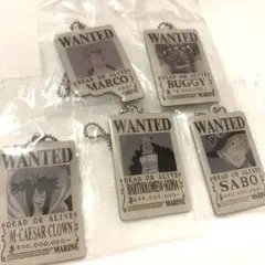 ワンピース WANTED風キーホルダー 5種セットガチャガチャ