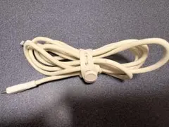 USB-C to Lightning ケーブル