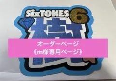 《m様専用ページ》