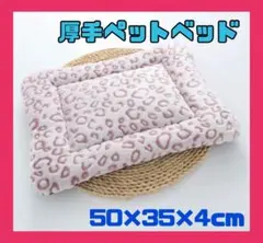 Item thumbnail for item 11254a0f-7bde-40fe-97f7-ffad8c68c84f