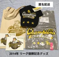 福岡ソフトバンクホークス☆秋山監督時代☆2009年記念バッジ☆激