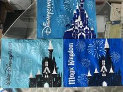 ディズニー　ショッピングバッグＭ　3つ　ディズニーパリ　ディズニーワールド