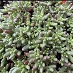 優飛mama様 リクエスト 3点 まとめ商品