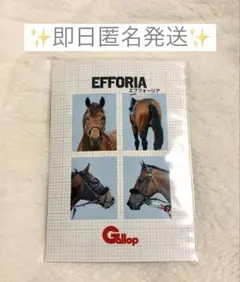 【即日匿名発送】エフフォーリア 証明写真風プリント