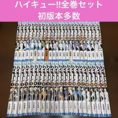 ハイキュー!! 1-45巻全巻セットおまけ33.5巻付きバレーボール　初版本多数