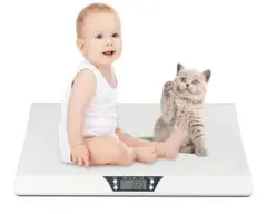 Item thumbnail for item b4d09244-e796-4135-9b55-6b2b2b3a2faa