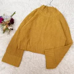 【キューティブロンド/Cutie Blonde】ハイネック クロップドニット(F