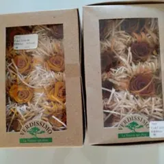 Item thumbnail for item aef552d2-a199-400b-a530-ee8848737f42