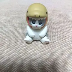 앉아있는 모후스와 바다생물 고양이 굿차우 모레이