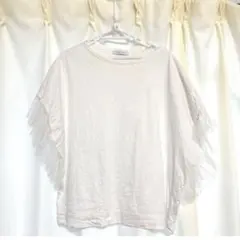 くま　プロフ必読様 リクエスト 4点 まとめ商品