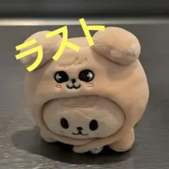 7/11迄に購入→7/13発送　スキズ SKZOOテディベア パピーム straykids スキズ テディベア ぬいぐるみ SKZOO パピーム