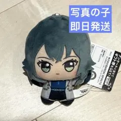 2026年最新】月村手毬 ちびぐるみの人気アイテム - メルカリ