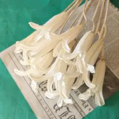 グロサン様 リクエスト 2点 まとめ商品