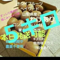 5キロ　キウイフルーツ　　わけあり　小玉　箱いっぱい　コンパクト　山梨県産