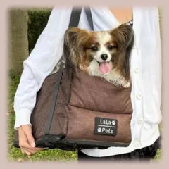 Item thumbnail for item 225ef09c-58bb-4a4a-a0f4-f5edcae61285