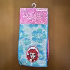 新品☆ディズニー　プリンセス　ポケットタオル2枚セット　ハンカチ　即購入OK