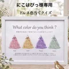 にこはぴっ様専用 ④ドレス色当てクイズ ドレス当てクイズ 投票ボックス BOX