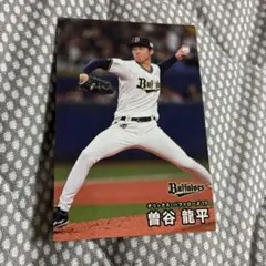 Item thumbnail for item 274bd854-9493-41ec-b077-5d45073b170f