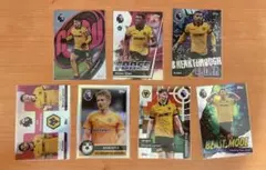 Wolves ウルブス インサート