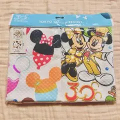 【おまけ付き】ディズニーリゾート30周年　ふきん2枚セット