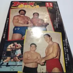 昭和レトロ1970年 プロレスボクシング
