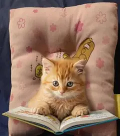 手のひらにちょこんと収まる約20センチのリラックマ座布団　新品未使用です古いです