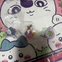 たまごっち めじるしアクセサリー Tamagotchi Paradise