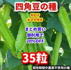 Miwako Gonda様 リクエスト 2点 まとめ商品