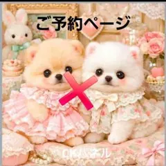 激レアポメラニアン、マルチーズ、シーズ、チワワ、トイプー、ダックス