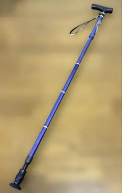 Item thumbnail for item 276673cc-9d2f-44b2-b7d8-29fb52886d4f