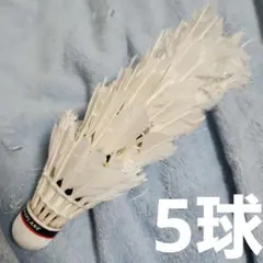 2026年最新】バドミントンシャトルニューオフィシャルの人気アイテム