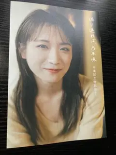 Item thumbnail for item 1bb15508-4360-458d-b871-03de841791a7