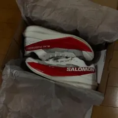 SALOMON サロモン S/LAB PHANTASM 2 カーボンシューズのサムネイル