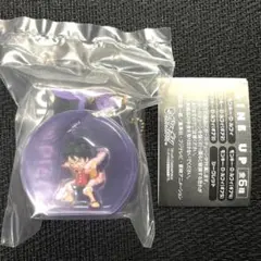 ワンピの実ミクロ ②