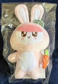 SEVENTEEN セブチ 着ぐるみ BONGBONG ボンボンイ うさぎ - メルカリ