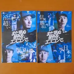 ファイターズ　水野、北山　野村、加藤　まだ見ぬ景色をエスコンで。ステッカーセット