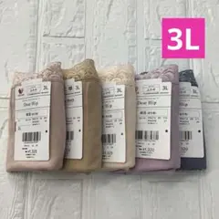 ワコール 愛され続けるロングセラー　ディアヒップショーツ　綿混　ふかめ3L 5色のサムネイル