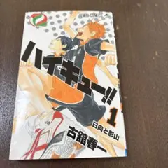 ハイキュー　漫画　一巻