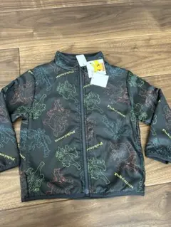 Item thumbnail for item 79b390de-94d1-41de-b29f-78763327e09f